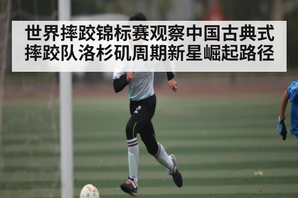 世界摔跤锦标赛观察中国古典式摔跤队洛杉矶周期新星崛起路径